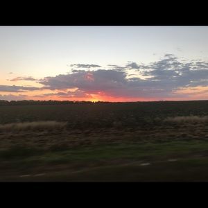 Meet your Posher, Lucy